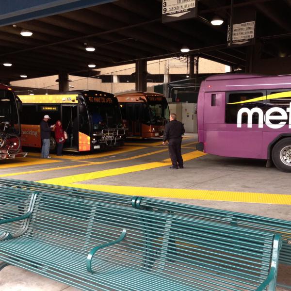 Mountain Metro